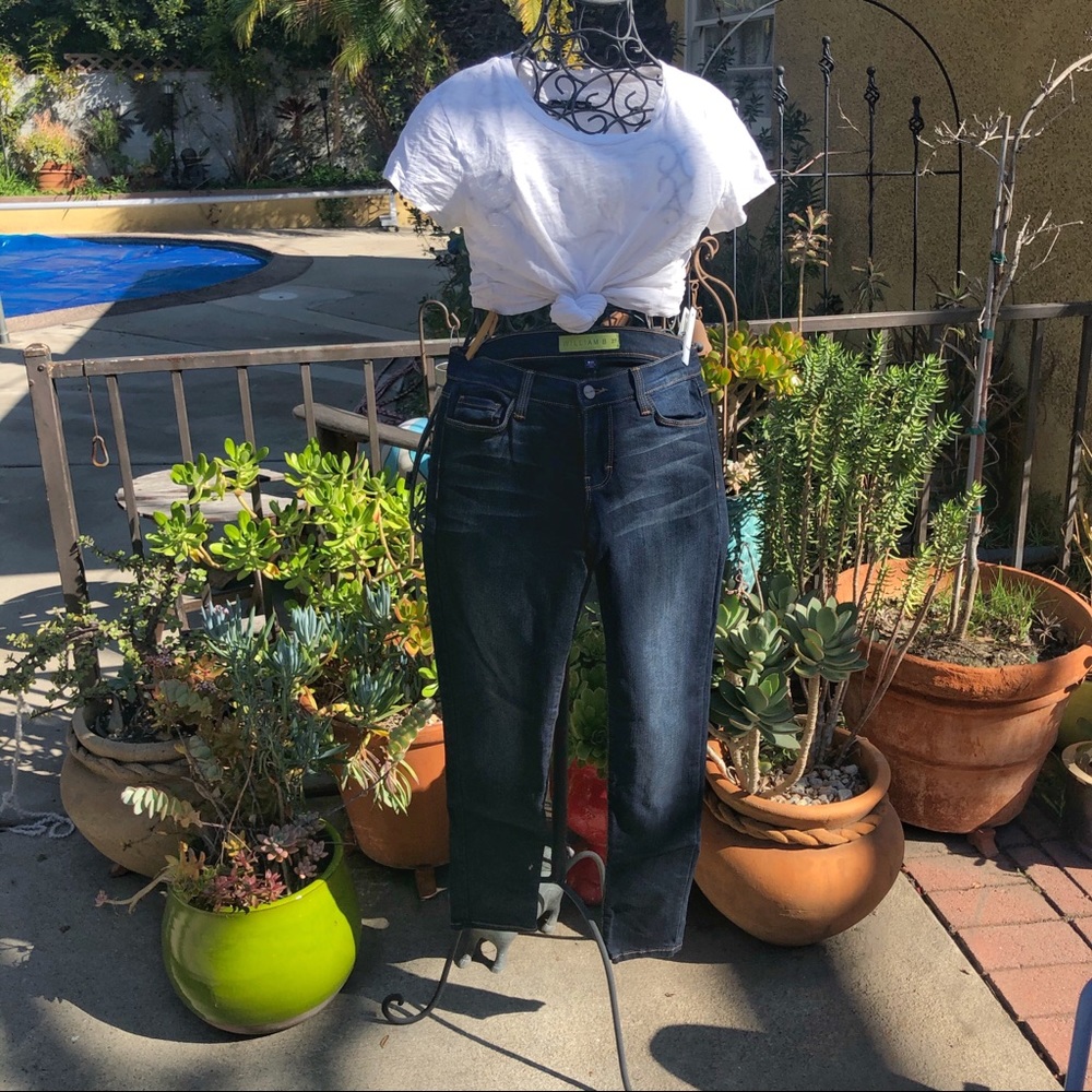 William B Skinny Jeans